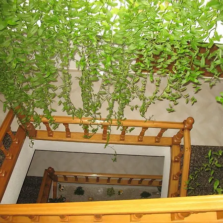 A Veiga Samos